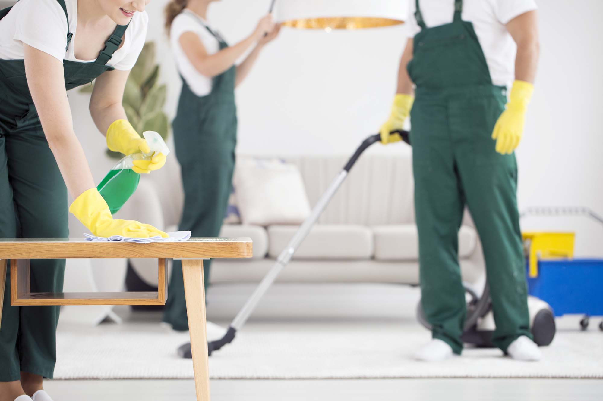 Team of cleaners cleaning room. A team of cleaners in the green overalls cleaning a room by vacuuming and dusting
